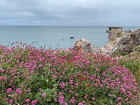 De baai van Brixham