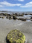 Charmouth Beach