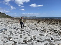 Charmouth Beach