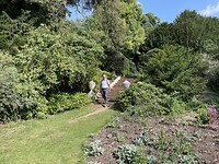 Wandelen in de tuin