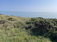 Beachy Head