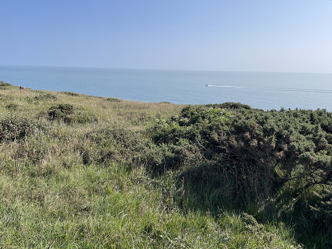 Beachy Head
