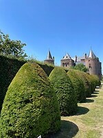 Zicht vanuit de tuin