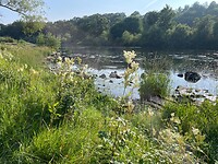 Avondwandeling