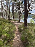 Loch An Eilein