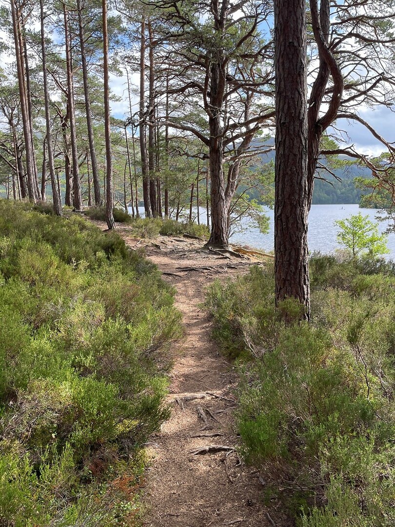 Loch An Eilein