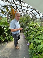 Botanische tuin