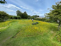 Botanische tuin
