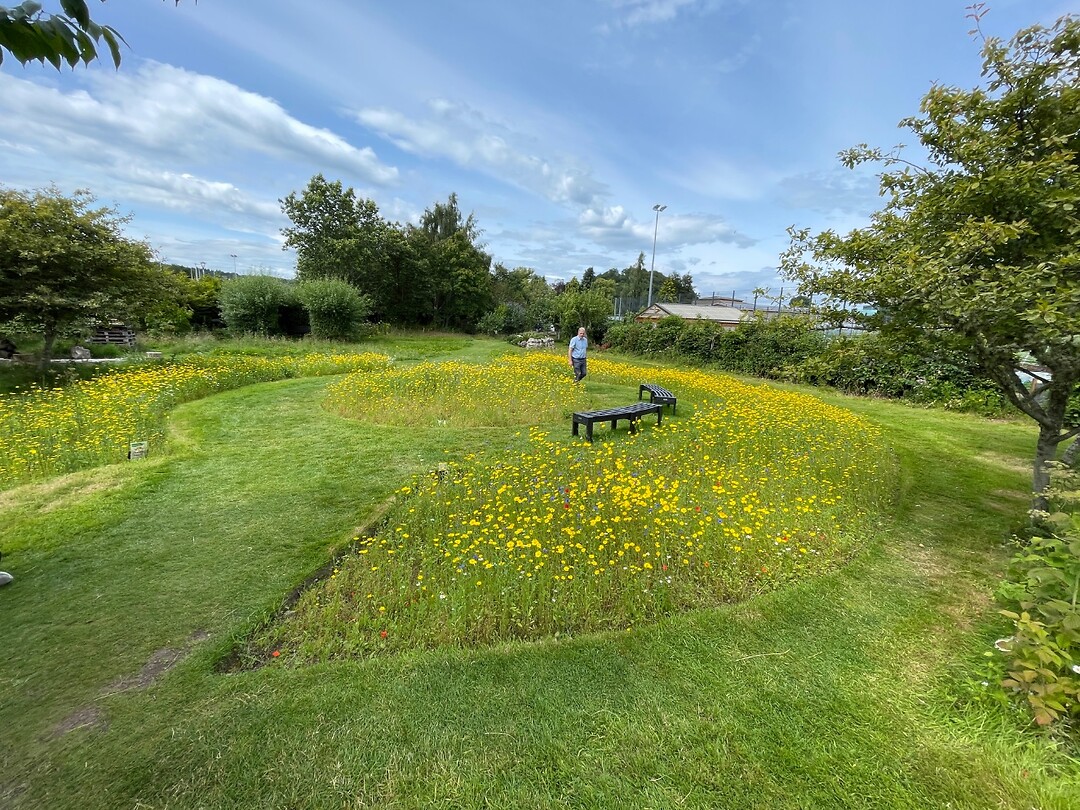 Botanische tuin
