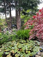 Botanische tuin