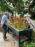Botanische tuin