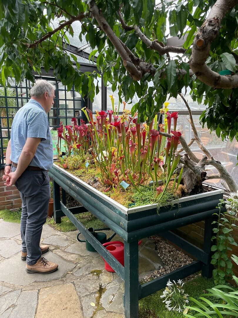 Botanische tuin
