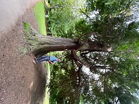 The Ness Islands Walk