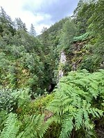 De kloof