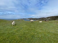 Achmelvich Beach