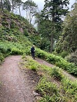 Inverewe Garden