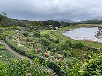 Inverewe Garden