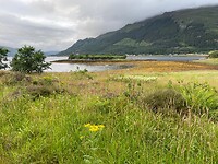 Avondwandeling