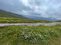 Bergwandelingetje