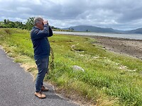 Castle Stalker