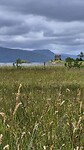 Castle Stalker