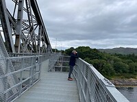 Zeehonden spotten vanop Connel Bridge