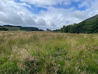 Een addertje onder het gras?