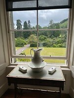 IMG_5535