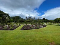 IMG_5545