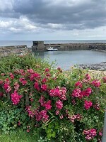 Het kustpad naar Dunstanburgh Castle