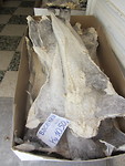 Wie Portugal zegt, zegt bacalau