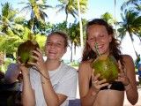 Verse kokosnoten op het strand!