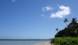 The beach
