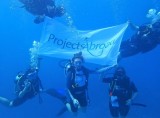Project abroad shark conservation project