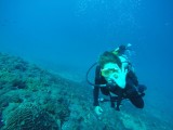 Everything OK