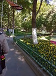20170513_082755