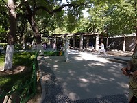 20170513_082902