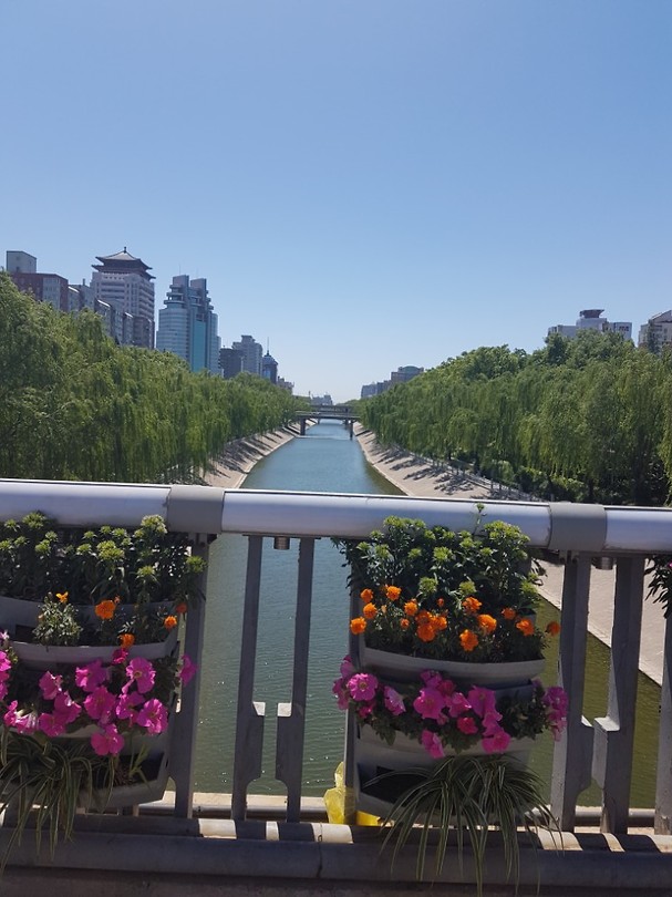 20170513_115025