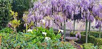 20190410_091901