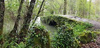20190410_123304