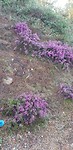 20190411_091805
