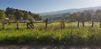 20190411_095239
