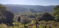 20190411_103905