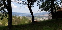 20190411_134859