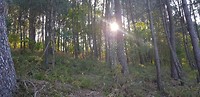 20190412_100355