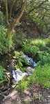 20190412_123436