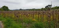 20190413_133409