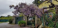 20190414_102653
