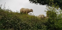 20190414_125925
