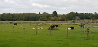 20200926_122617